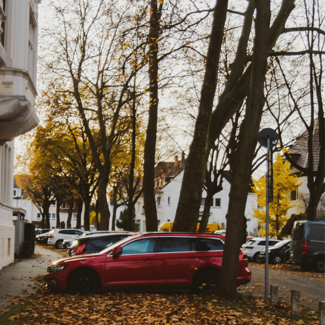 Bilder parkert høst